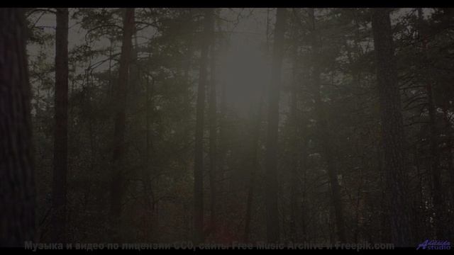 Этот трек ВЫЗЫВАЕТ зависимость! - Satellites -- Ketsa -- Growth