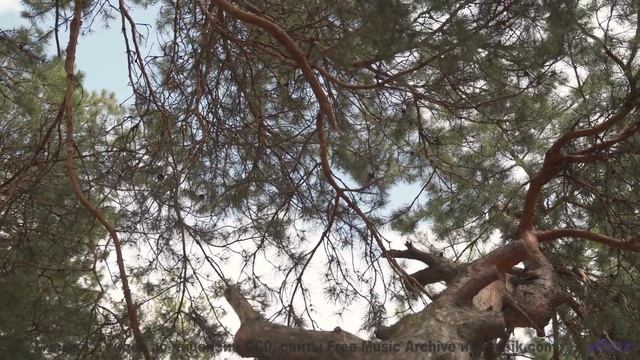 Это видео - как путешествие на край света! - Alpha Daughter -- Quint Baker -- Psychic Catz Enochian