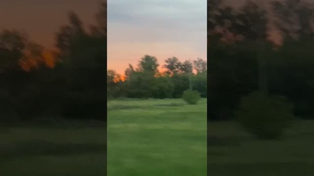 1000134098.mp4