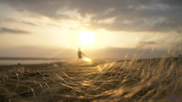 Звук раскрывает природу так, что перехватывает дыхание - Now Experience Each Others Deaths Through S