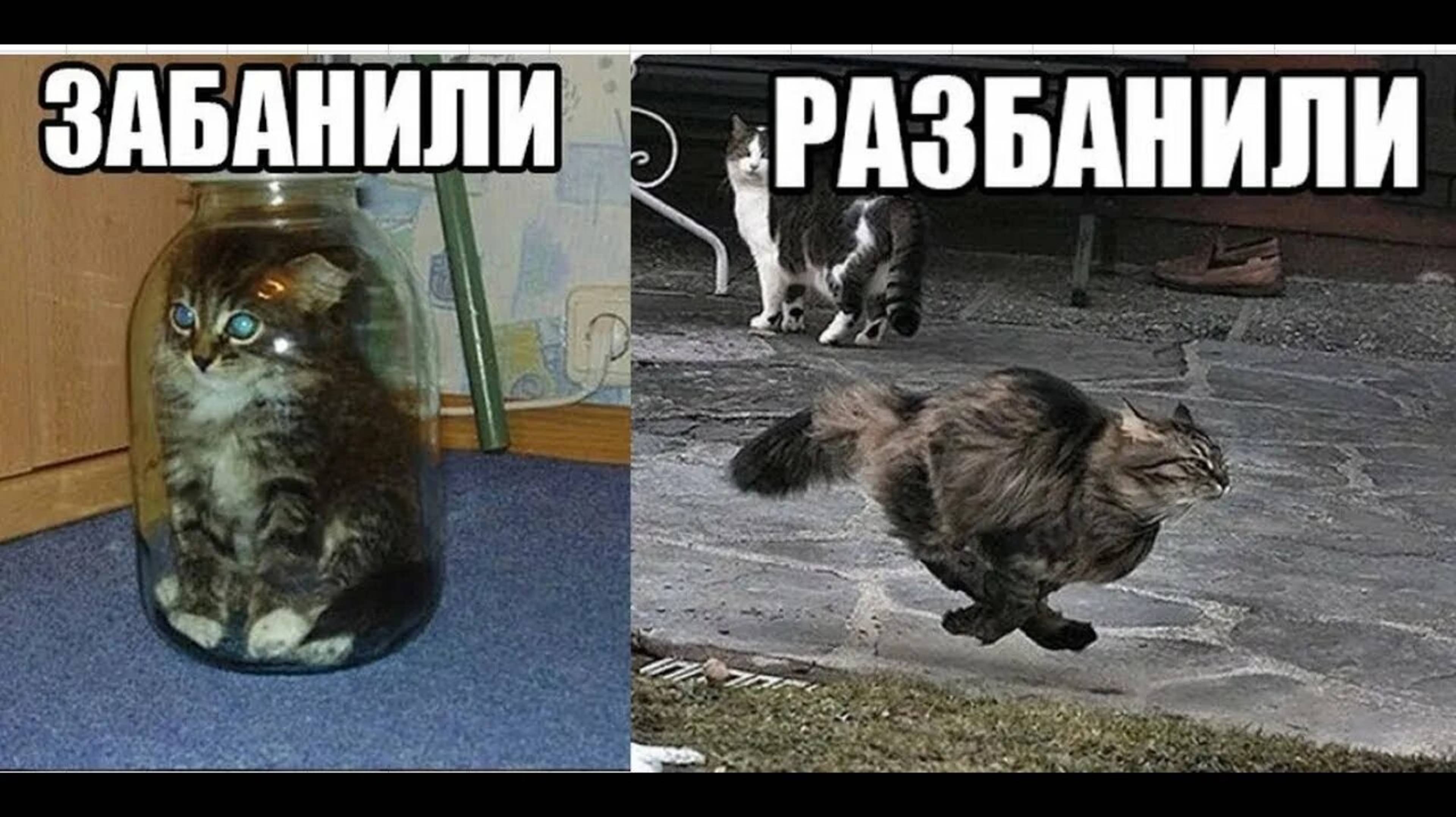 КАК ЭТО НЕ ЗАБАНИЛИ!? Жоский стрим в гд