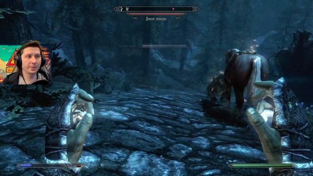 МАГ ПРОХОДИТ ПУТЬ до АЙВАРСТЕДА 👣 The Elder Scrolls V Skyrim - Annive