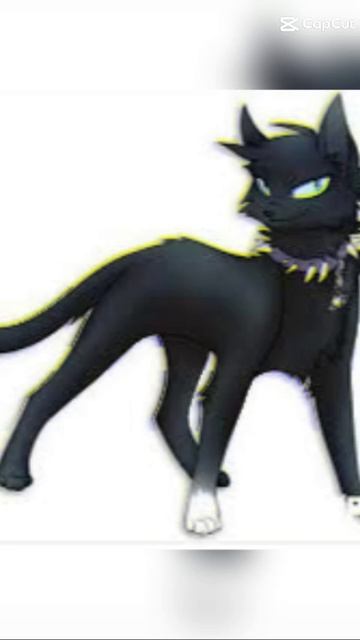 Бич Эдит🩸🐈⬛
