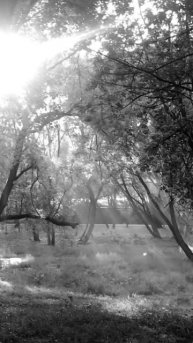 KOKA BEATS - RUSSIAN POWER 2