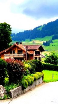 Камера в действии