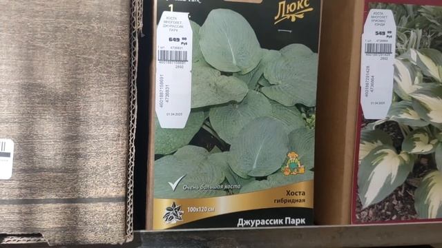 Обзор товаров для сада/Хвойные🌲, Розы🌹, Рододендрон?
