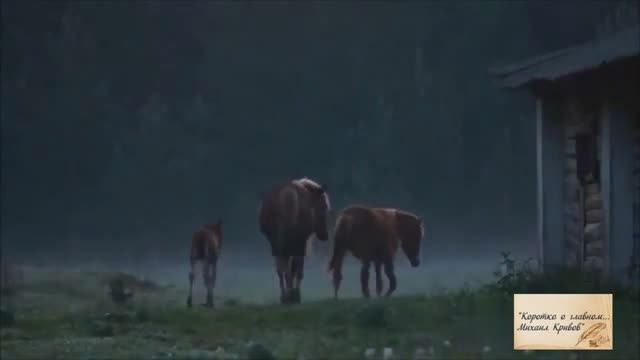 Я ДЫШУ, НЕ МОГУ НАДЫШАТЬСЯ... (полная версия)