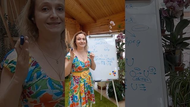 Агрессия, злость, раздражение, обида
Что это такое? Как избавиться от привычной модели поведения?