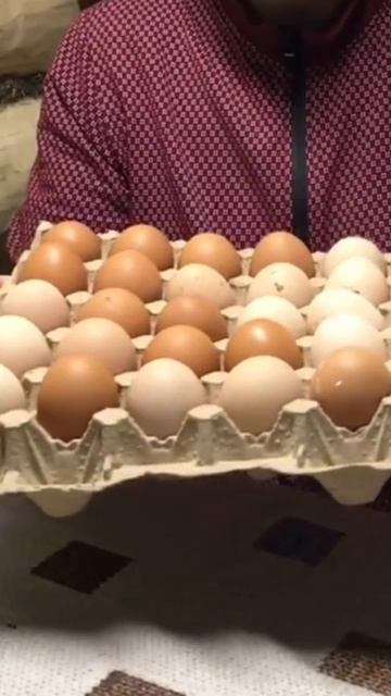 Яйцеварка быстрого приготовления.