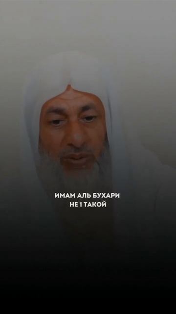 Шейх Мустафа аль-Адави.