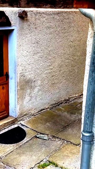 Камера зафиксировала эмоции