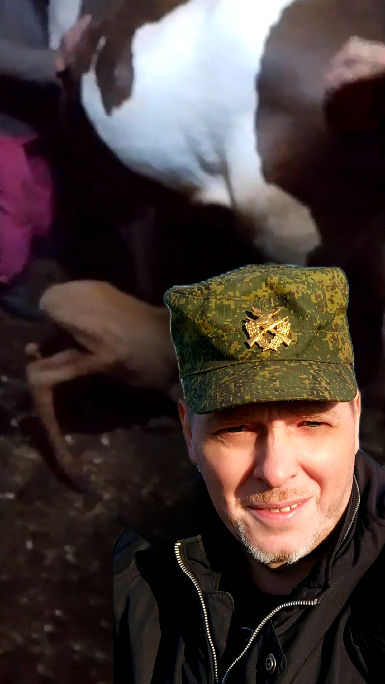 Корова вскармливает лосёнка, а вы видели такое? маленький лосёнок #ru_kompass #animals #лосёнок