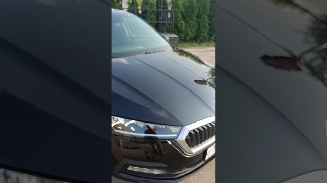 октавия 2021,1.4Т, 8ат.mp4