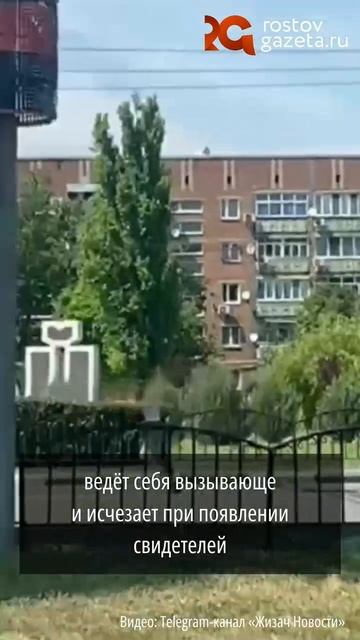 АКСАЙСКИЙ ПЕДОФИЛ: следователи инициировали проверку по поводу публикаций в соцсетях о жителе Аксая.