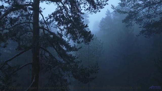 Это видео взломает ваше восприятие - берегитесь! - A Pleasant Afternoon -- Kirk Osamayo -- Season Tw