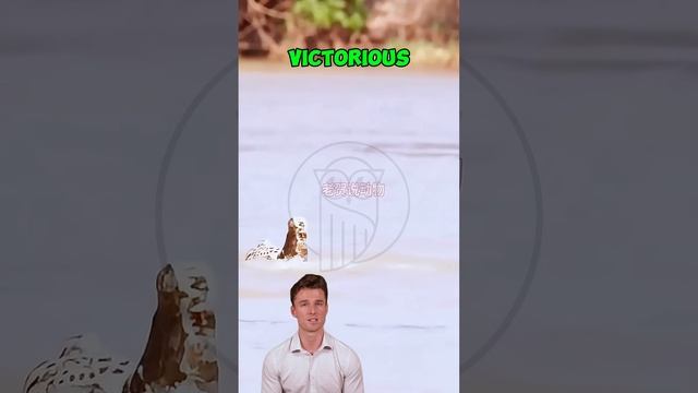xMtxF2d6430 - ＊＊＂Leopard's Unlikely Victory： Conquering a Crocodile and the Struggle Home＂＊＊#animals