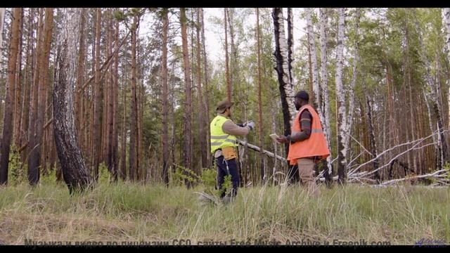 Музыка течёт сквозь поля, как река в сердце - Frieden -- Ketsa -- Dimensions