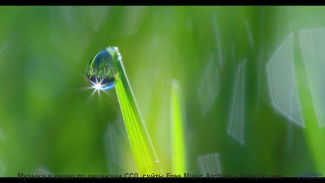 Этот клип - как обещание счастья, которое сбывается! - Holding On To Yesterday -- Tadz -- Soul Symph