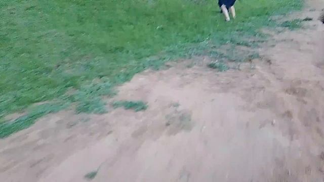 Леший острозуб хочет вырваться наружу