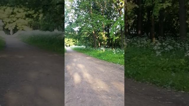 То самое место в парке, где шли бои