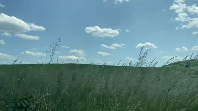 В ритме жизни: гармония и красота в природных циклах