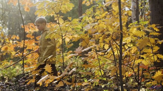 Мелодия, превращающая заднее сиденье в лучший номер отеля - Side 2 -- Colin Langenus -- Live Loop Ha