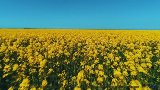 Пейзажи проникают под кожу вместе с ритмом - Lets Skip To The Good Bit -- Duncan Reid and the Big He