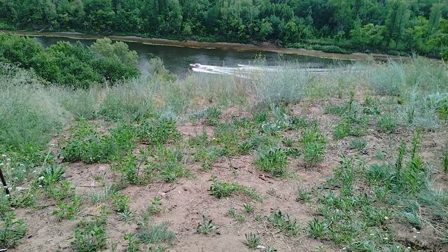 Виды природы.