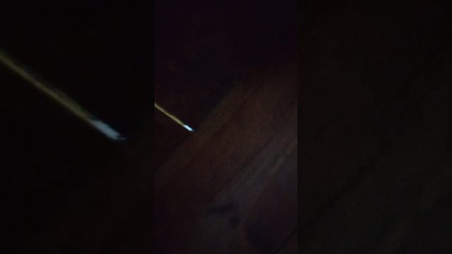 экстрим в прятки реальная жизнь