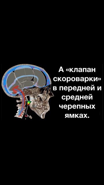 Что лучше? Инсульт или ринит, очевидный факт #ринит #инсульт #стоматология #спб #shorts