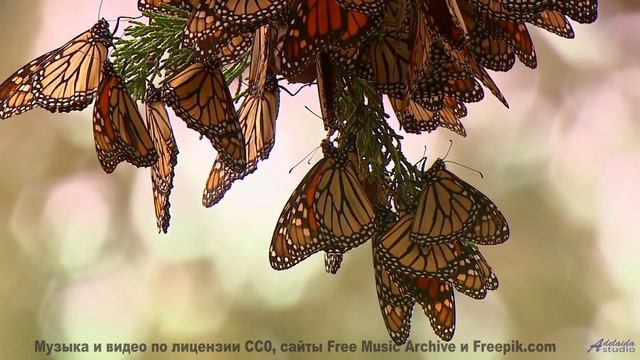 Песни для тех, кто измеряет расстояния не километрами, а эмоциями - Sweet N Juicy-Whats Good-Mar 201
