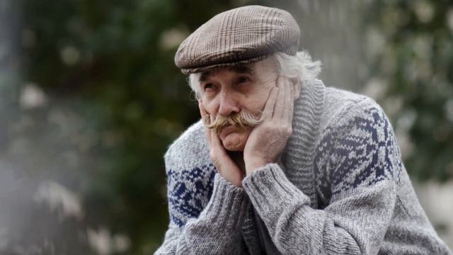 У БЕРЁЗЫ слова Надежды Шкариной музыка исполняет Юрий Старцев баян