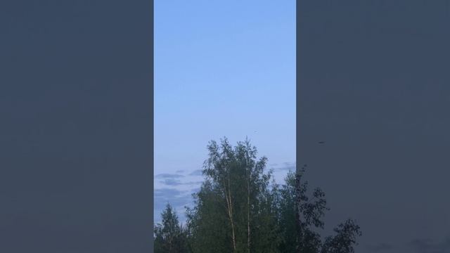 12-06-2025, 4 часа утра, Ленинградская Белая ночь, поют птицы