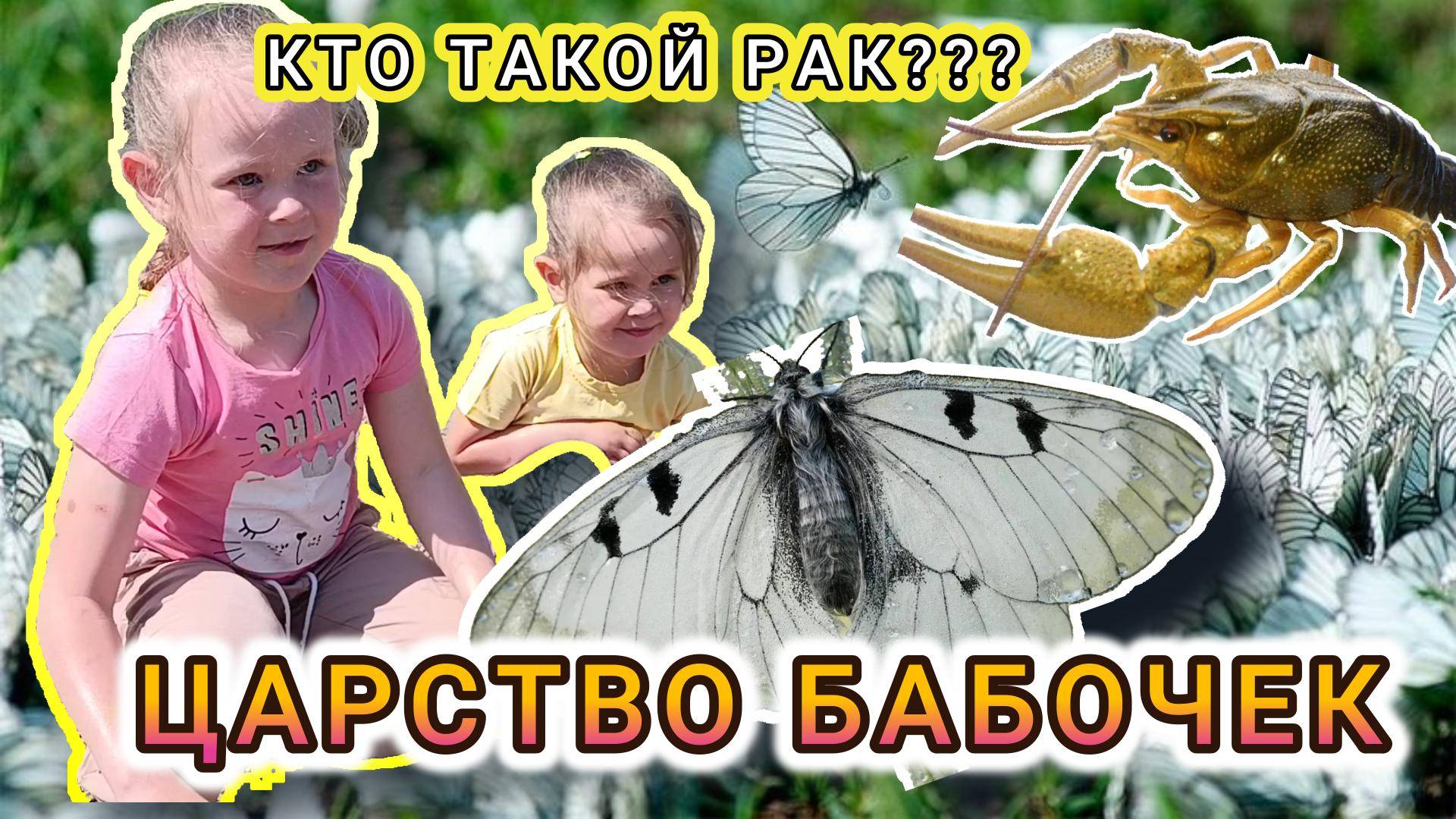 Царство бабочек и кто такой Ракуш???
