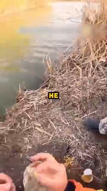 Настоящий рыбак👍🤣🎣