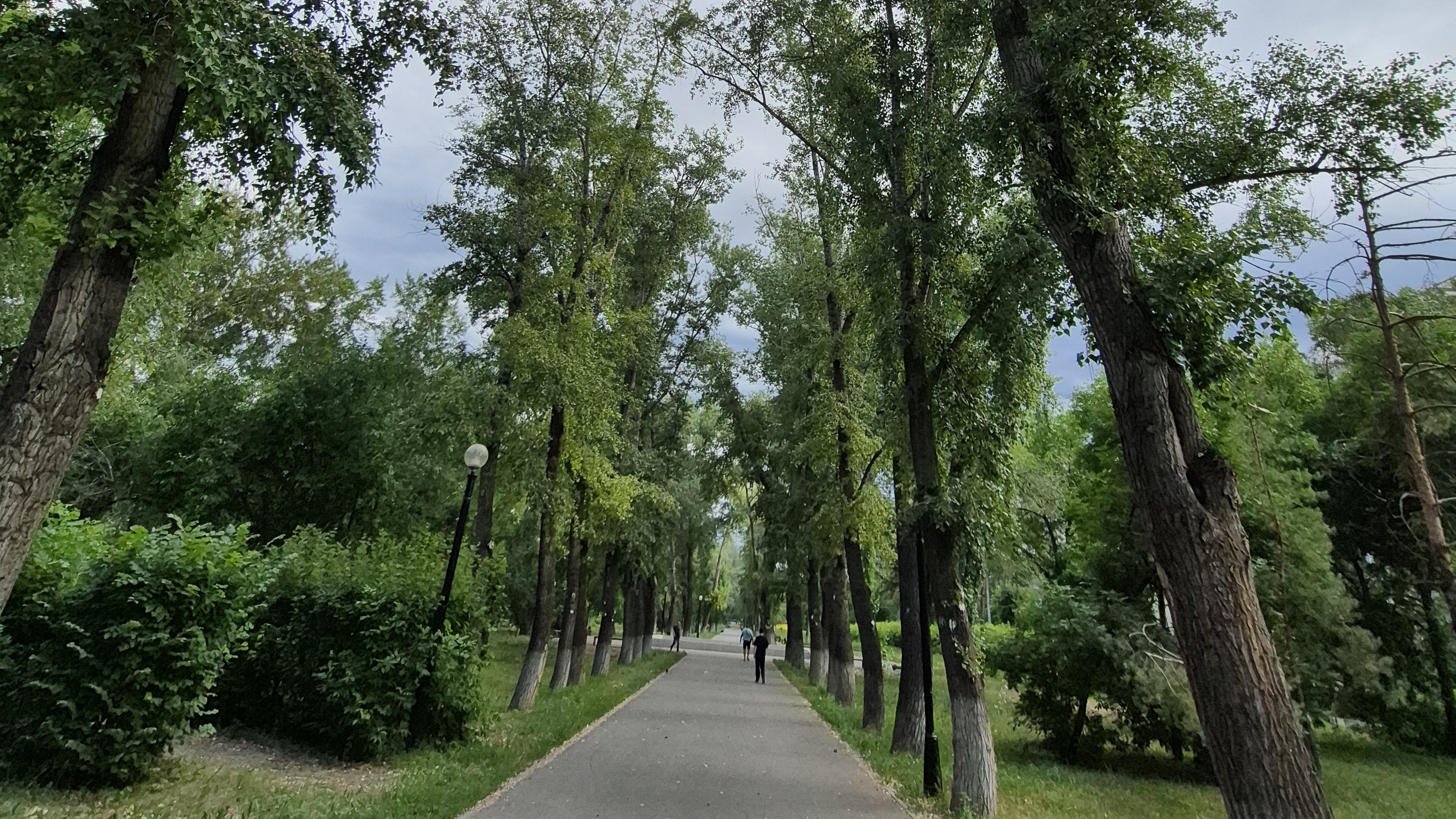 летнее утро