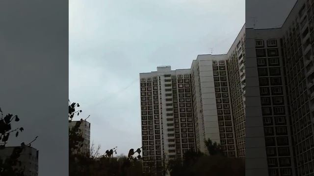 Bibirevo wether