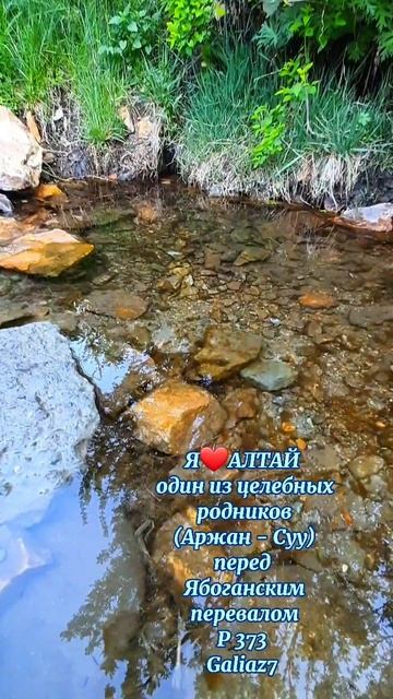 Алтай Целебный родник перед Ябоганским перевалом