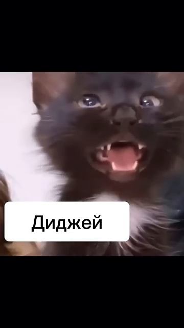 Однажды на дискотеке 😂