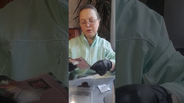 Сею семена розового банана | Ирина Родина