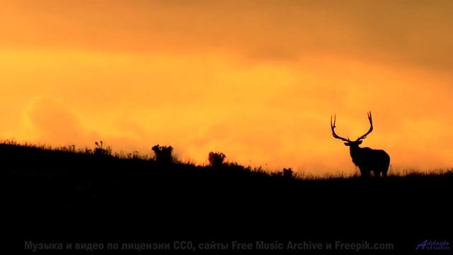 Ты не сможешь оторваться - это магия чистой воды! - Sunday Funday -- Scott Holmes Music -- Music for
