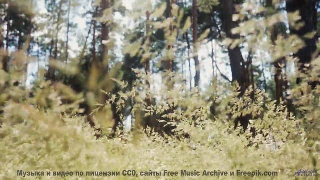 Картинка разгорается ярче, если включить этот трек - Clarity -- Makaih Beats -- Clarity