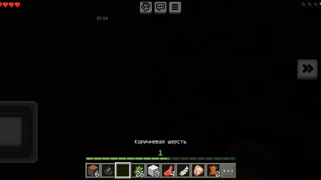 1000003877.mp4