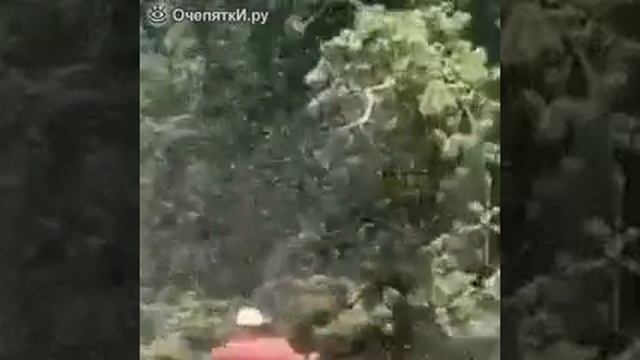 разбудил лихо
