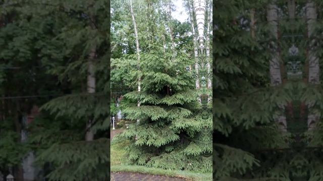 Центр эстетики и красоты Катюша