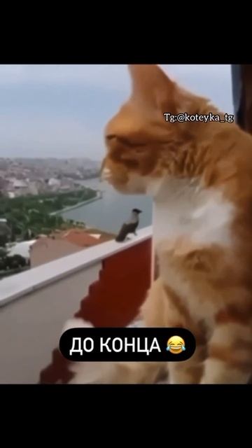 Не обиделась.