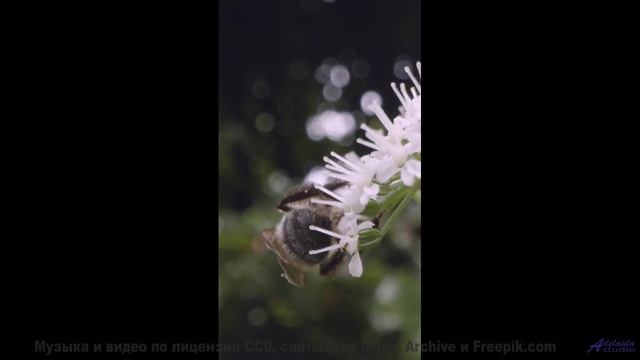 Мелодия, которая заставляет хотеть свернуть на любую неизвестную дорогу - Inspirational Outlook -- S