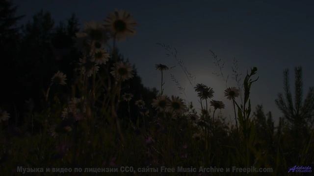 Звуки, используемые для материализации мыслей - это уже реальность! - Morning Coffee -- HoliznaCC0 -