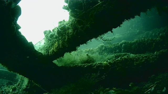 1000044569.mp4Волга гл 5м 12.06.2025г.