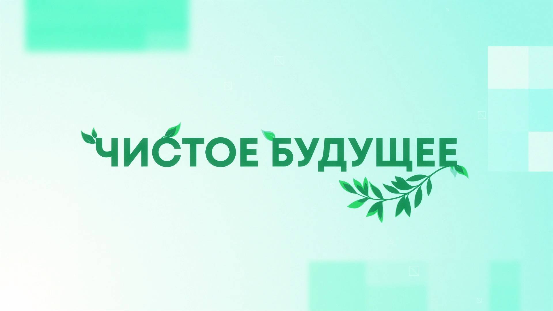 Чистое будущее 12 06 25